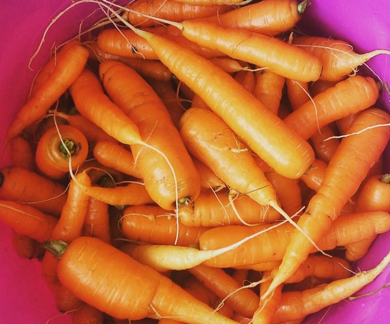 BABYOU • Schwangerschaft • Ernährung BABYOU • Schwangerschaft • Ernährung